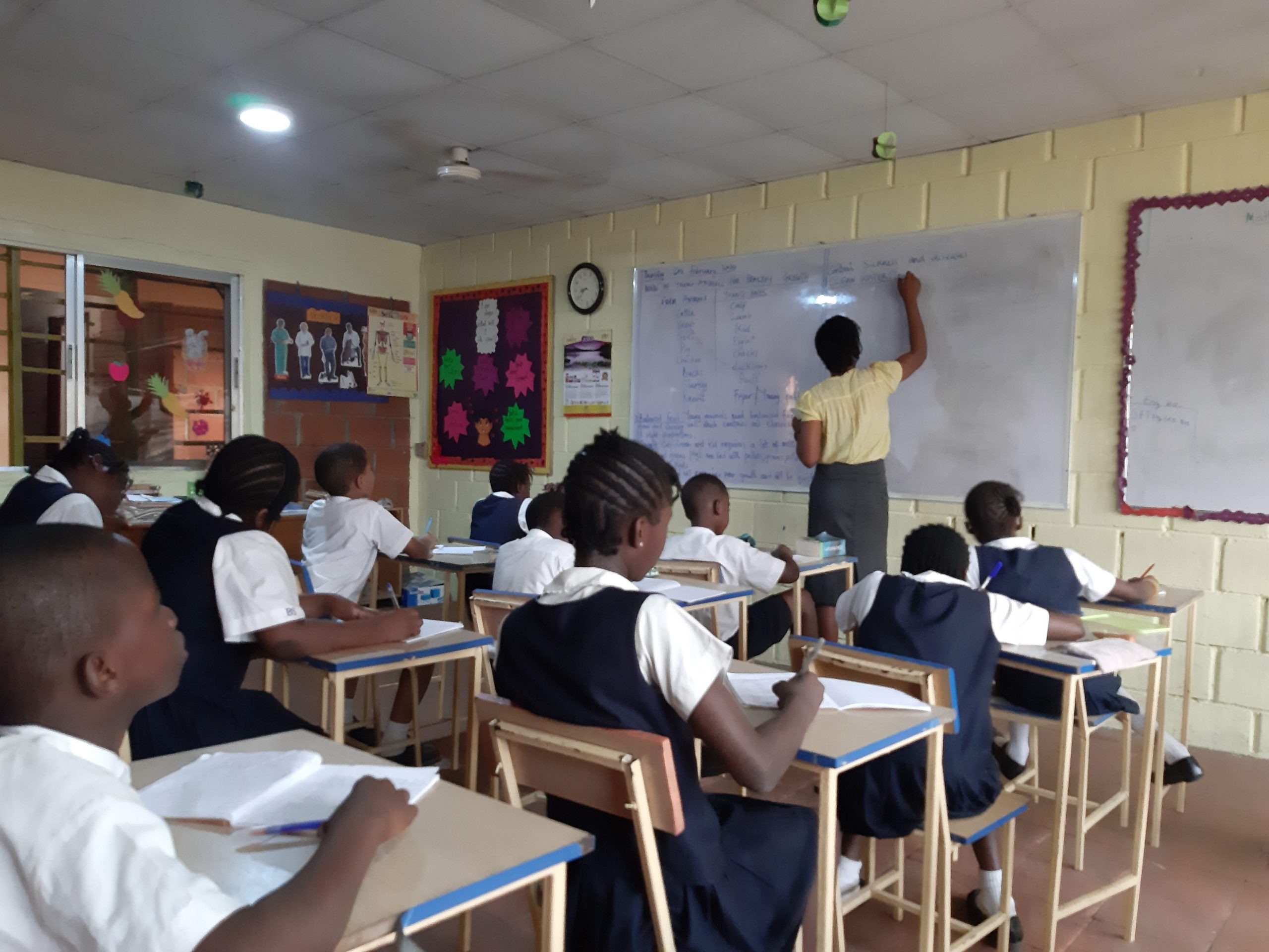 Primary Education In Nigeria Key Features And Challenges ClassNotes 